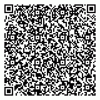 vCard 78077003583