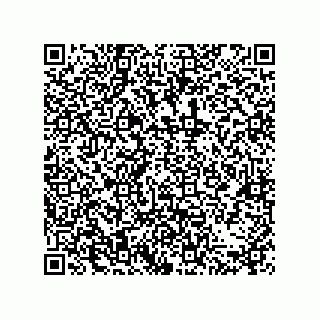 vCard 78084000313