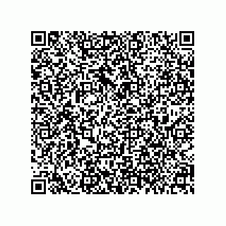 vCard 78084001995