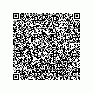 vCard 78084004196