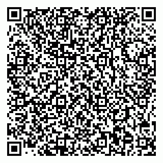 vCard 78085000539