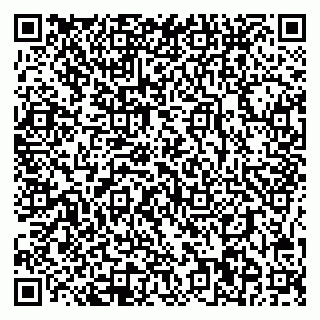 vCard 78085000739