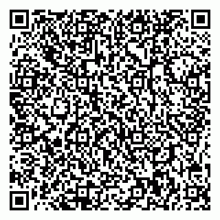 vCard 78085000862