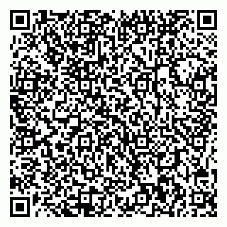 vCard 78085000962