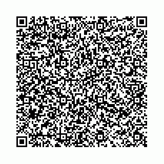 vCard 78091000539