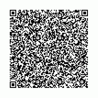 vCard 78091000739