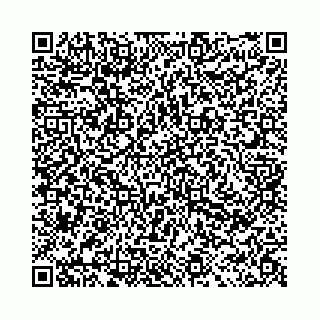 vCard 78091002539
