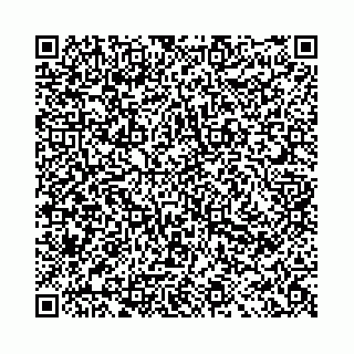 vCard 78091009539