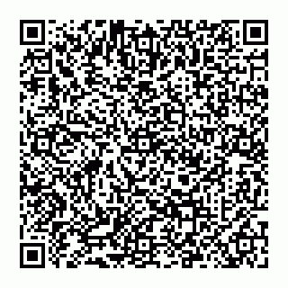 vCard 78092010413