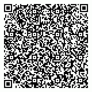 vCard 78093000022