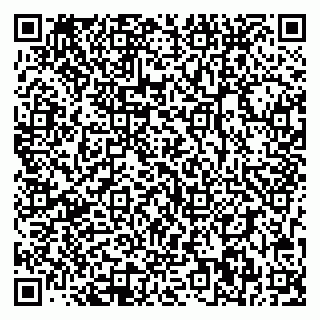 vCard 78093000839