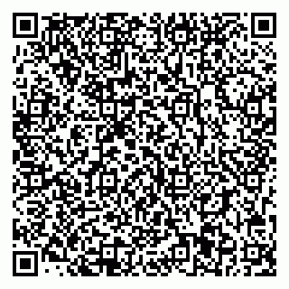 vCard 78093001339
