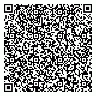 vCard 78093002039