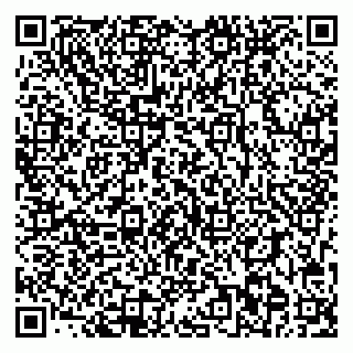 vCard 78093002539
