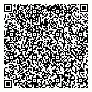 vCard 78093003339