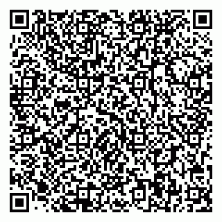 vCard 78093004839