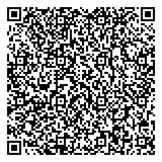 vCard 78093006039