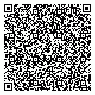 vCard 78094500041