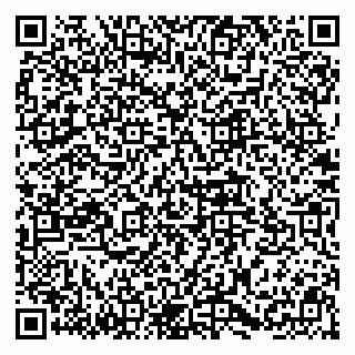 vCard 78094500199