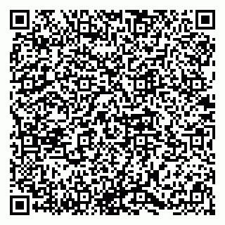vCard 78094500281