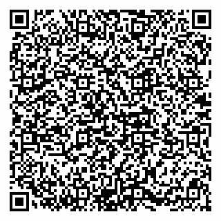 vCard 78094500310
