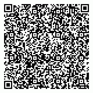 vCard 78094500311