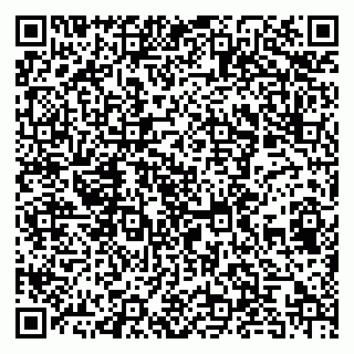 vCard 78094500315