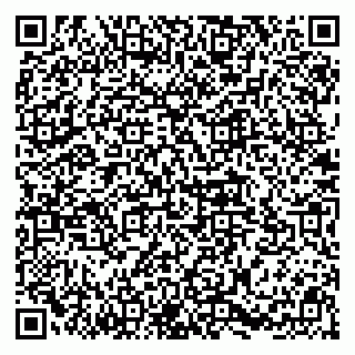 vCard 78094500329
