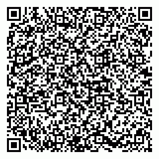 vCard 78094500331