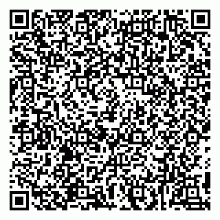 vCard 78094500337