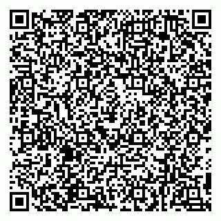 vCard 78094500370