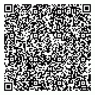 vCard 78094500380