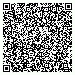 vCard 78094500399
