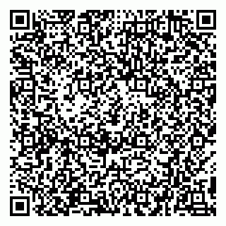 vCard 78094502041