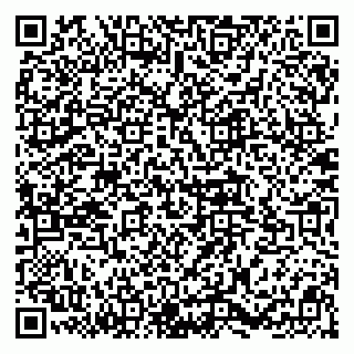 vCard 78094504032