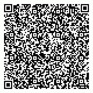 vCard 78094504041