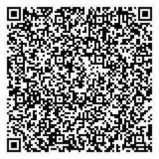 vCard 78094504099