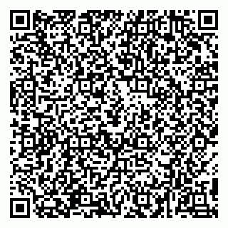 vCard 78094504131