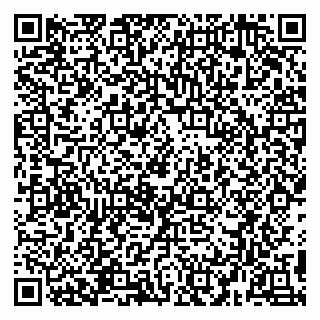 vCard 78094506399