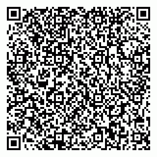 vCard 78095000039