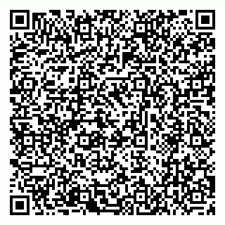 vCard 78095000165