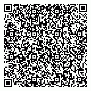 vCard 78095000839