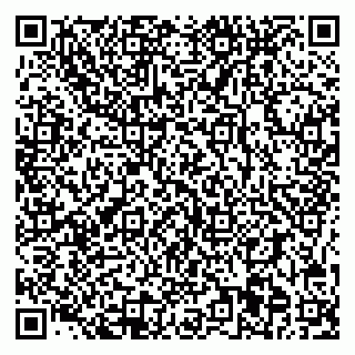vCard 78095001539