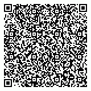 vCard 78095002539