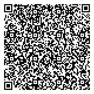 vCard 78095002700