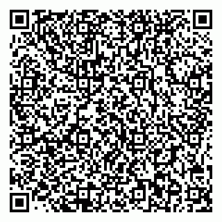 vCard 78095002739