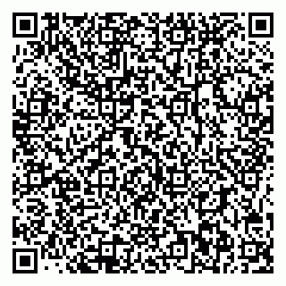 vCard 78095002939