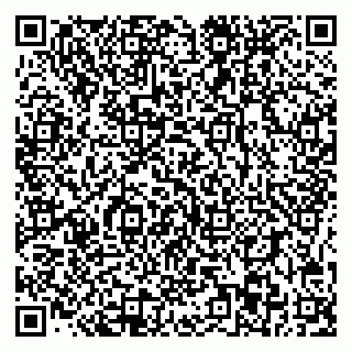 vCard 78095003039