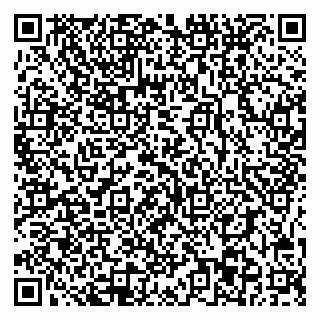 vCard 78095003339