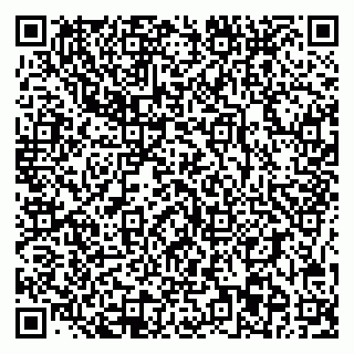 vCard 78095003739